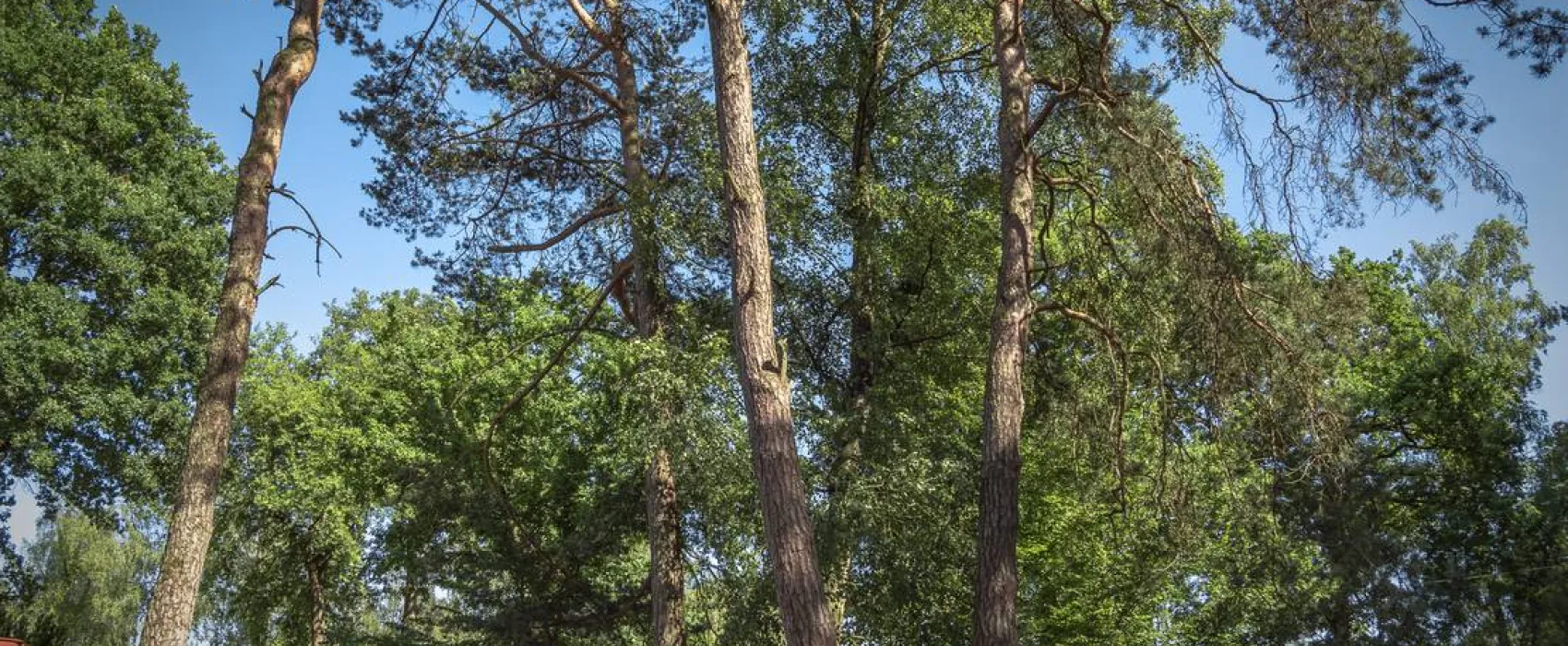 Ferienpark Dülmener See