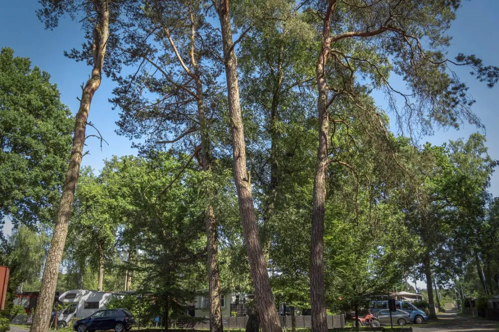 Ferienpark Dülmener See