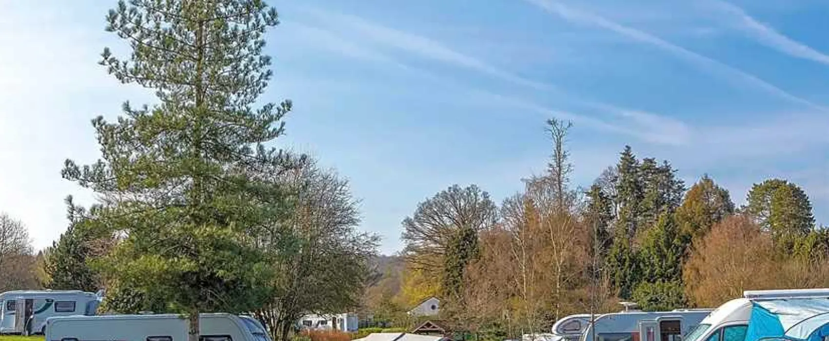 Whitemead Forest Park