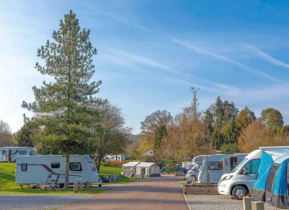 Whitemead Forest Park