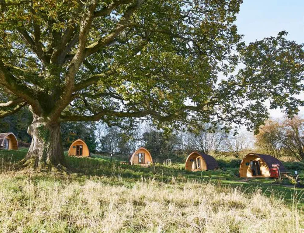 Whitemead Forest Park