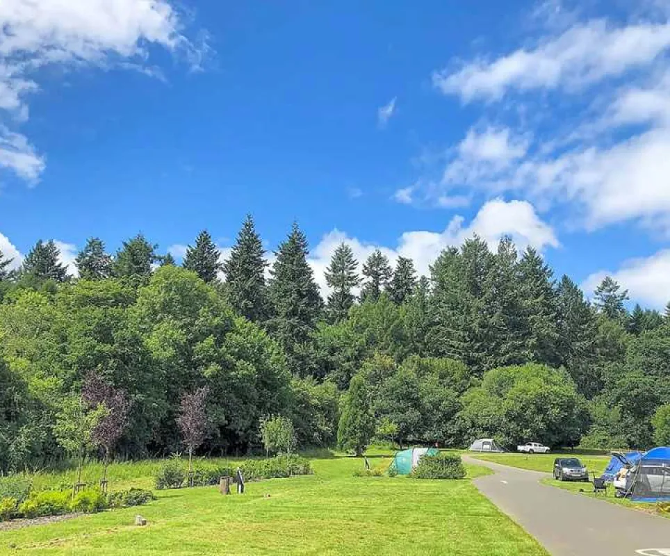 Whitemead Forest Park