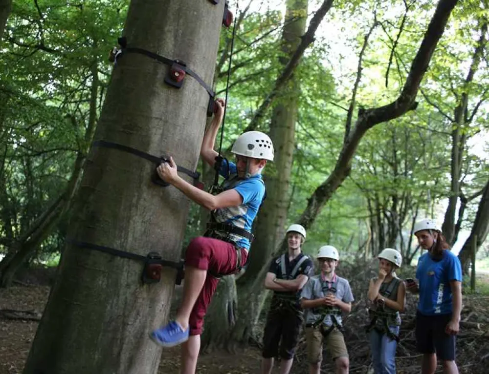 Whitemead Forest Park