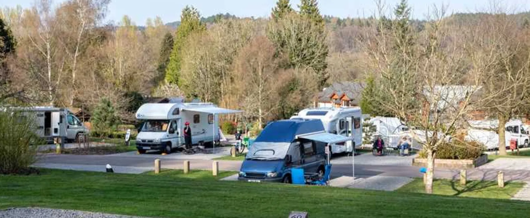 Whitemead Forest Park