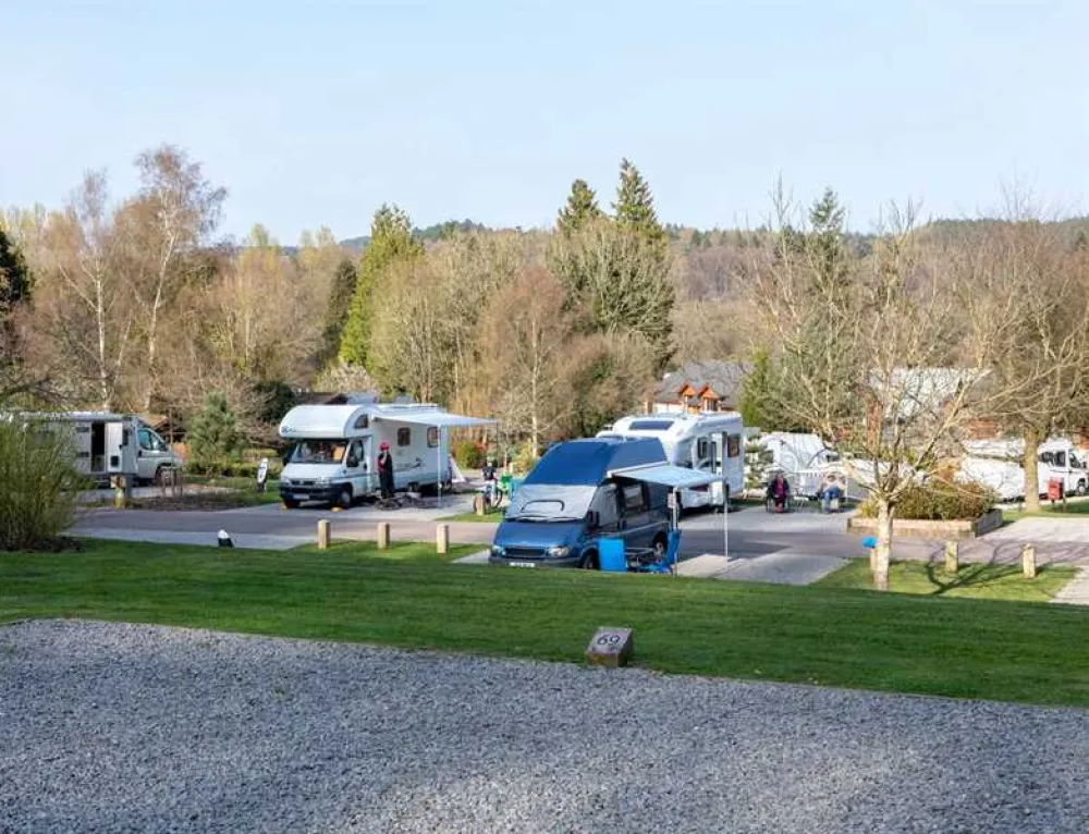 Whitemead Forest Park