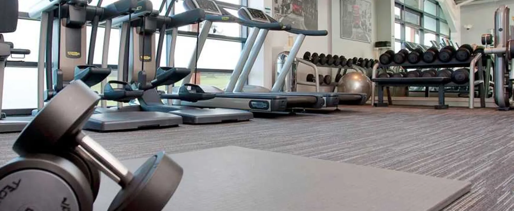 Whitemead Forest Park