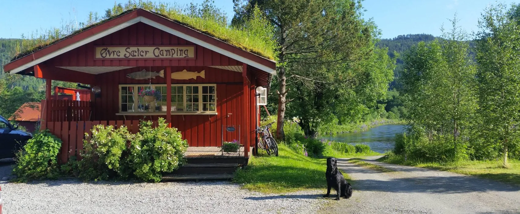 Øvre Sæter Fiskecamp