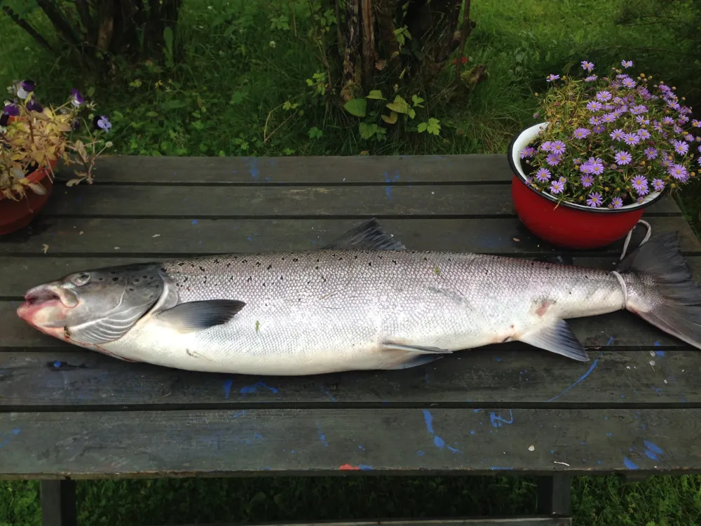 Øvre Sæter Fiskecamp