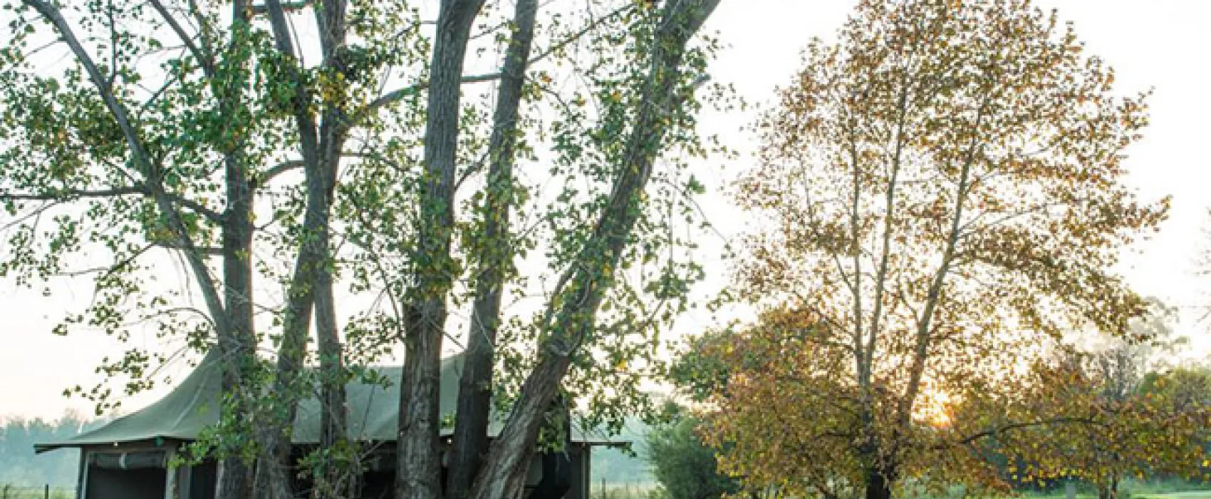 TangleWood Nature Estate