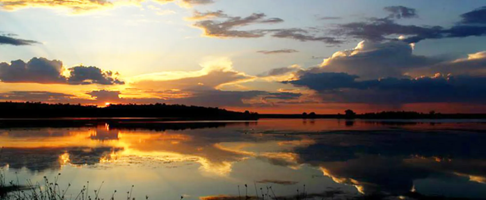 TangleWood Nature Estate