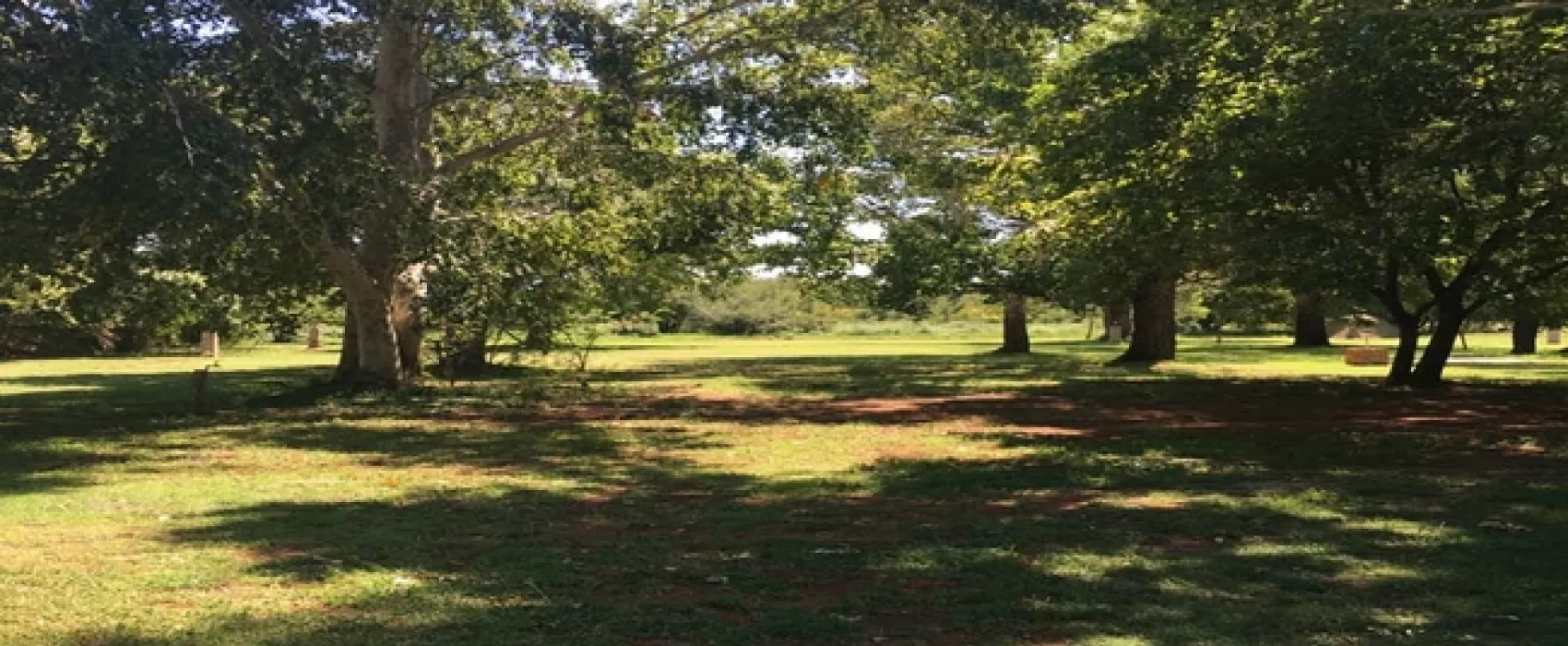 TangleWood Nature Estate