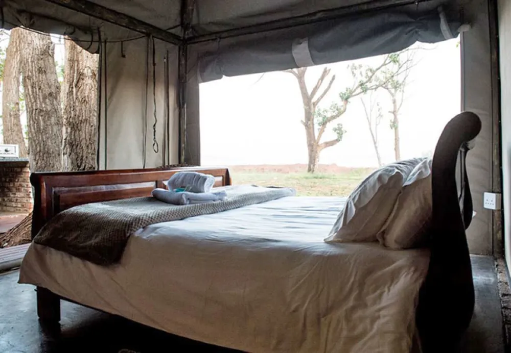 TangleWood Nature Estate