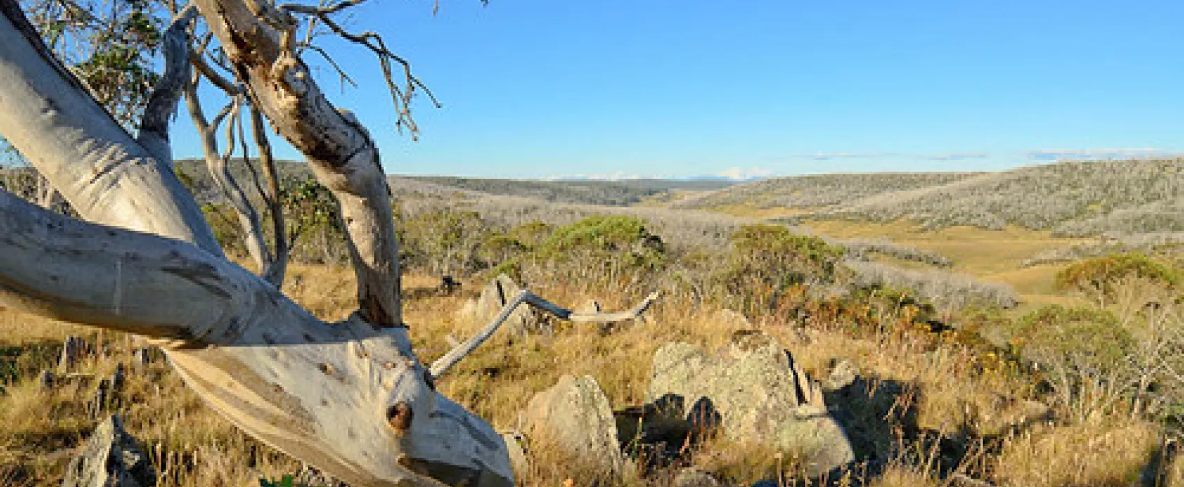 Three Mile Dam Campground