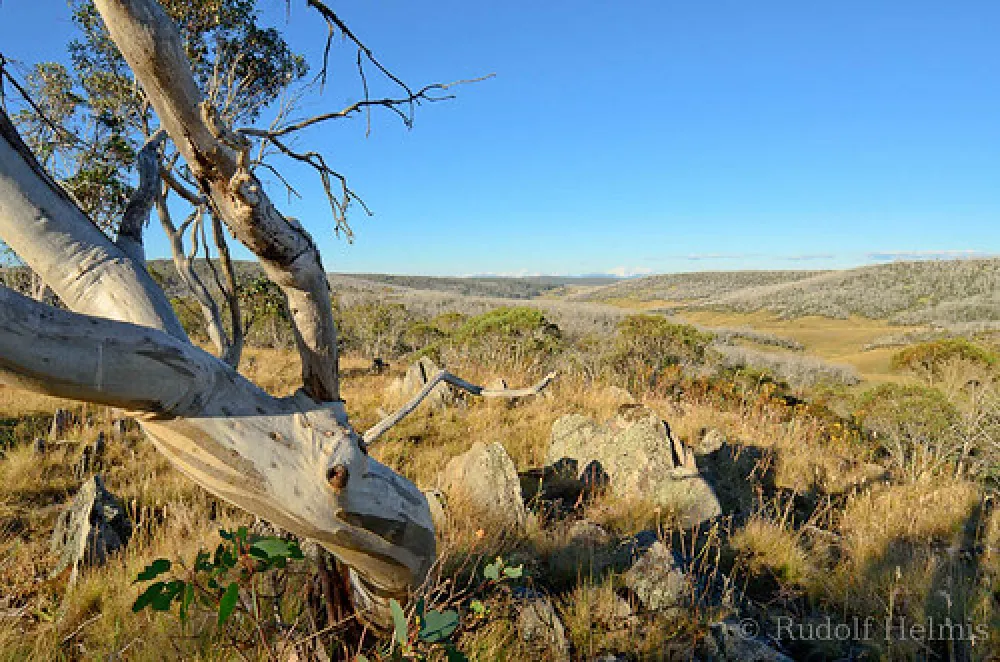 Three Mile Dam Campground