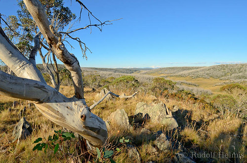 Three Mile Dam Campground photo 4