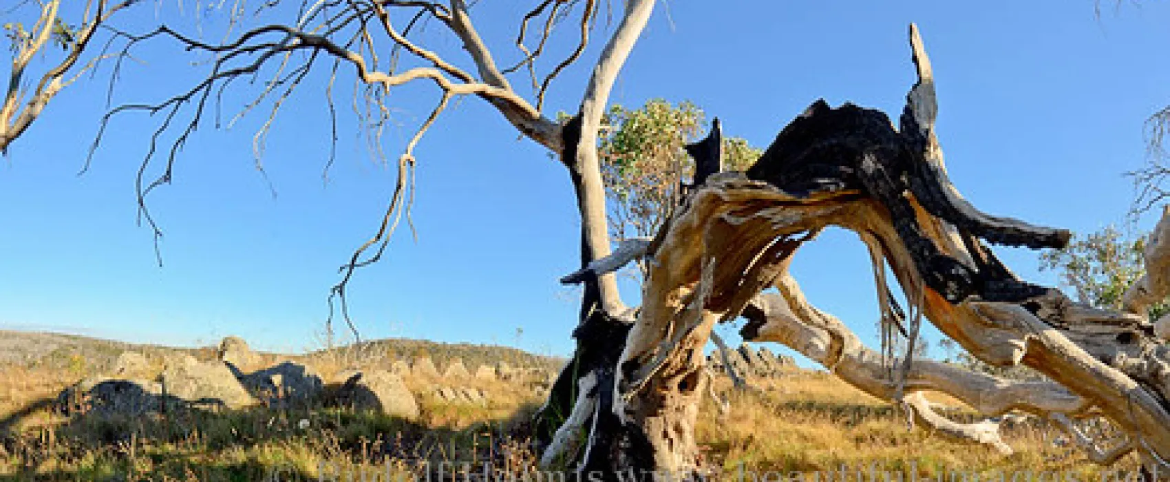 Three Mile Dam Campground
