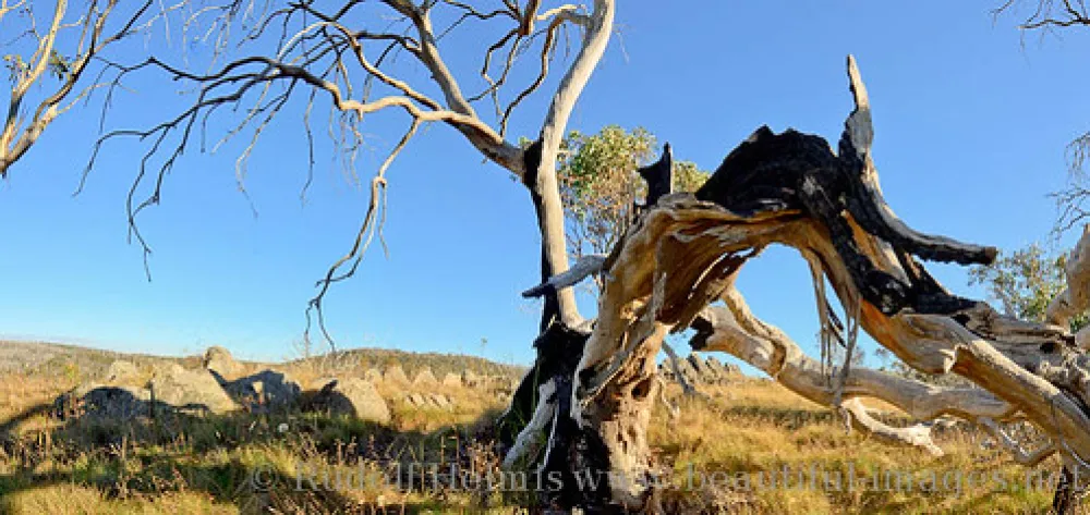 Three Mile Dam Campground