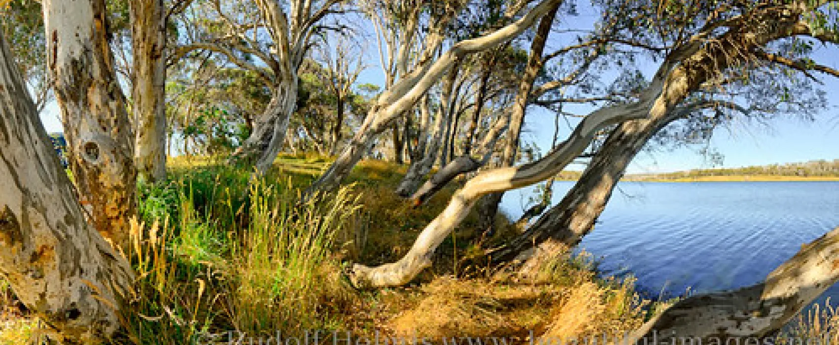 Three Mile Dam Campground