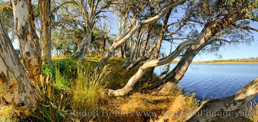 Three Mile Dam Campground