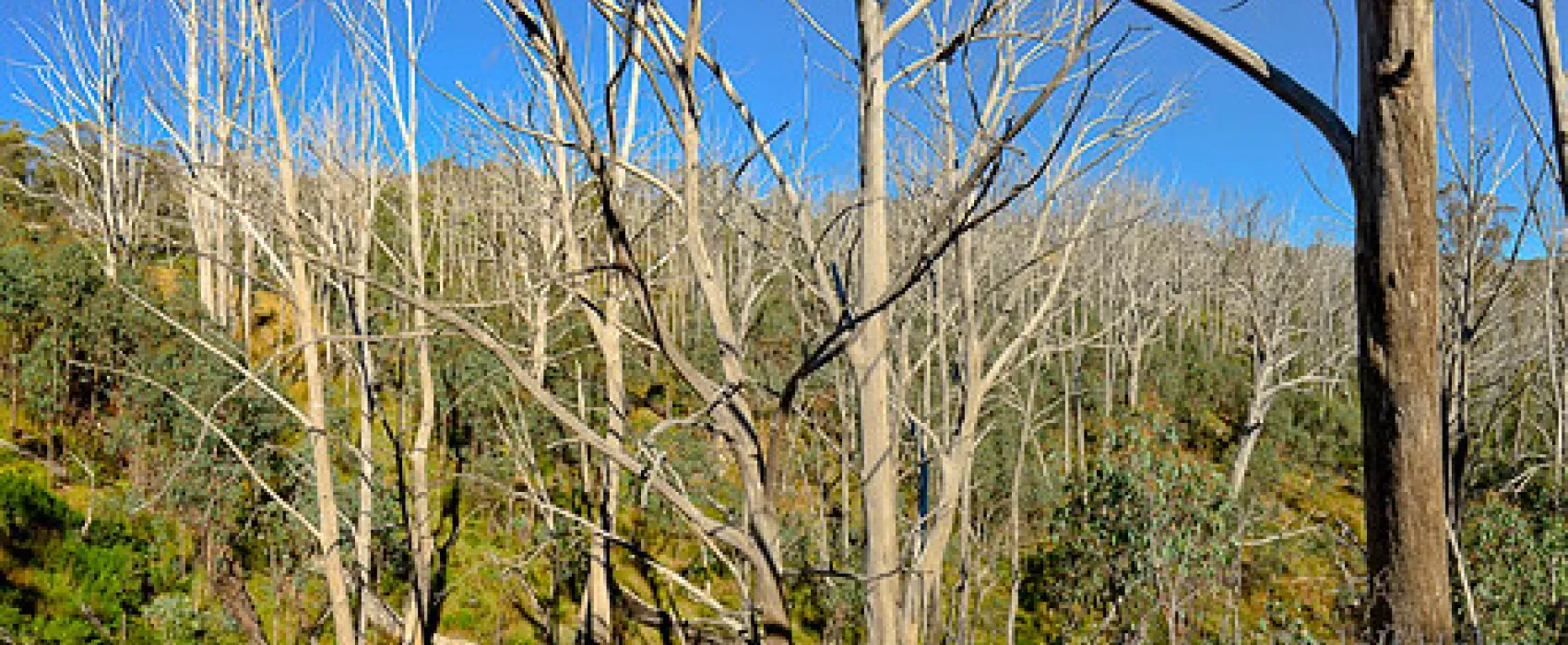 Three Mile Dam Campground