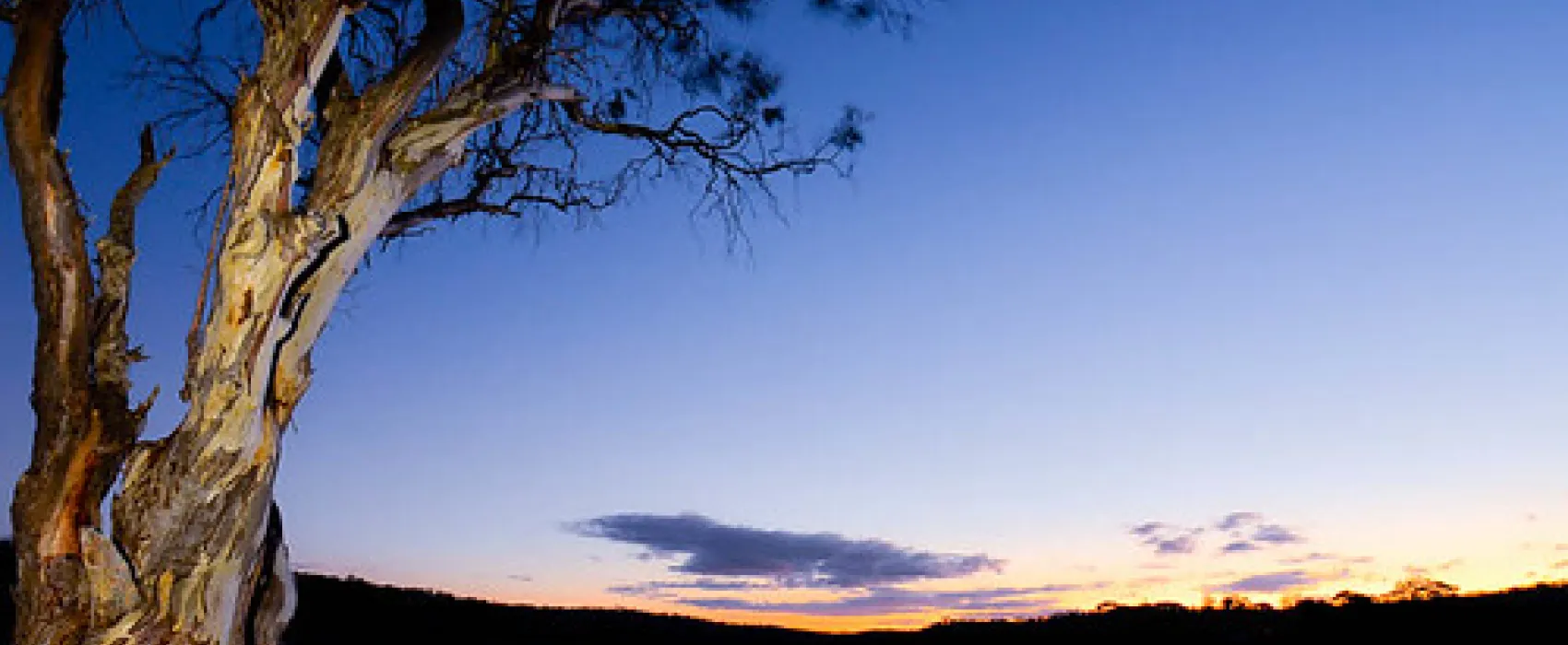 Three Mile Dam Campground
