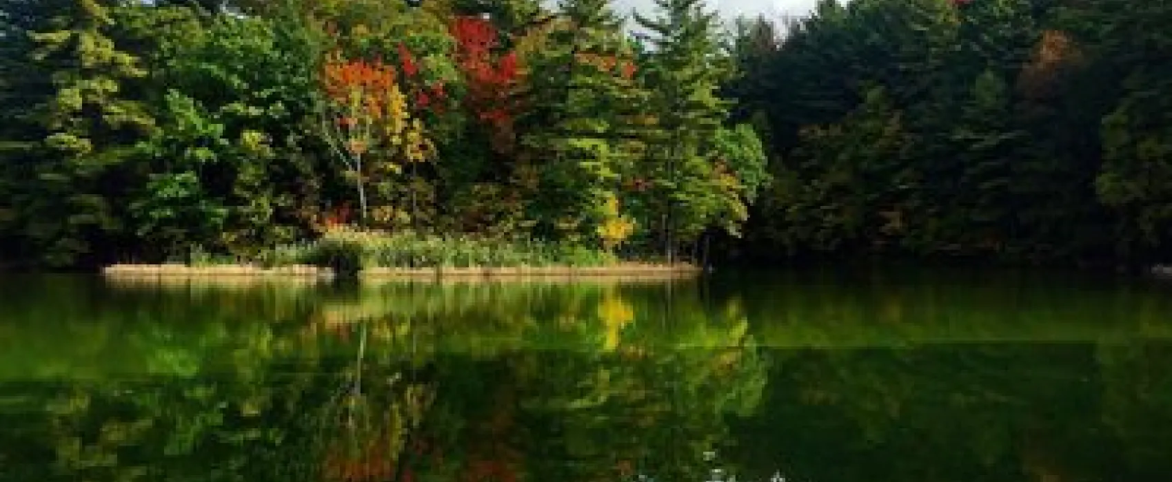 Hidden Valley Campground