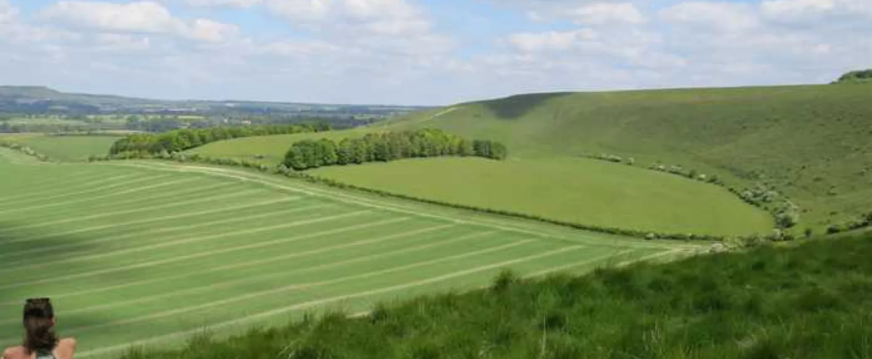 Totteridge Farm Camping Pods