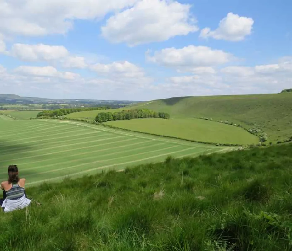 Totteridge Farm Camping Pods