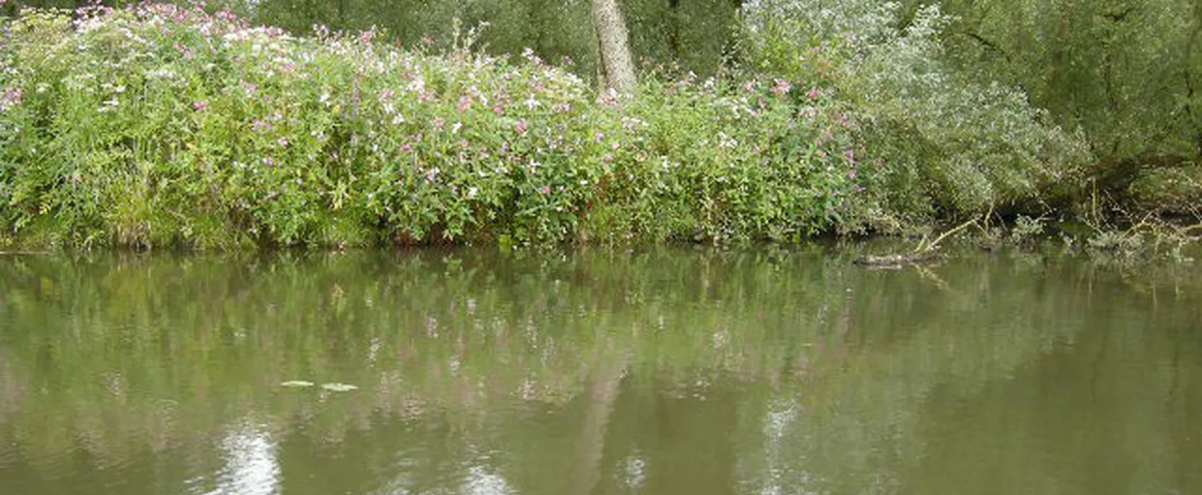 Minicamping Oud Drimmelen