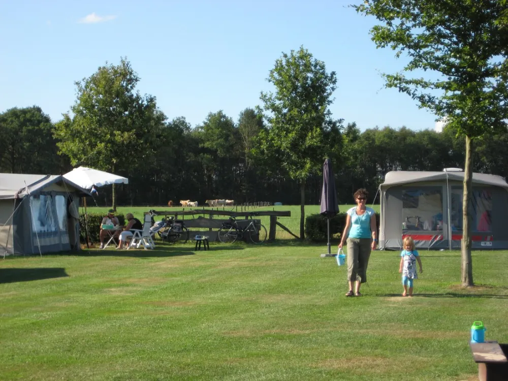 Minicamping Erve Vleerbosch