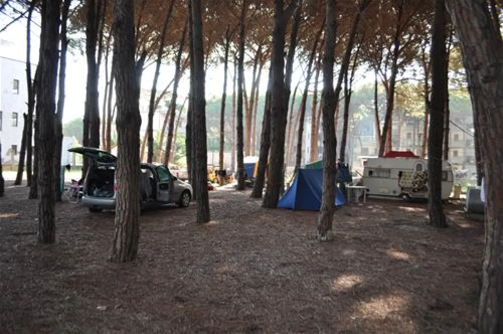 Camping Mali i Robit