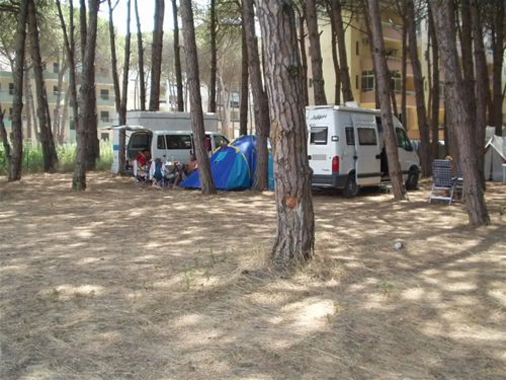 Camping Mali i Robit