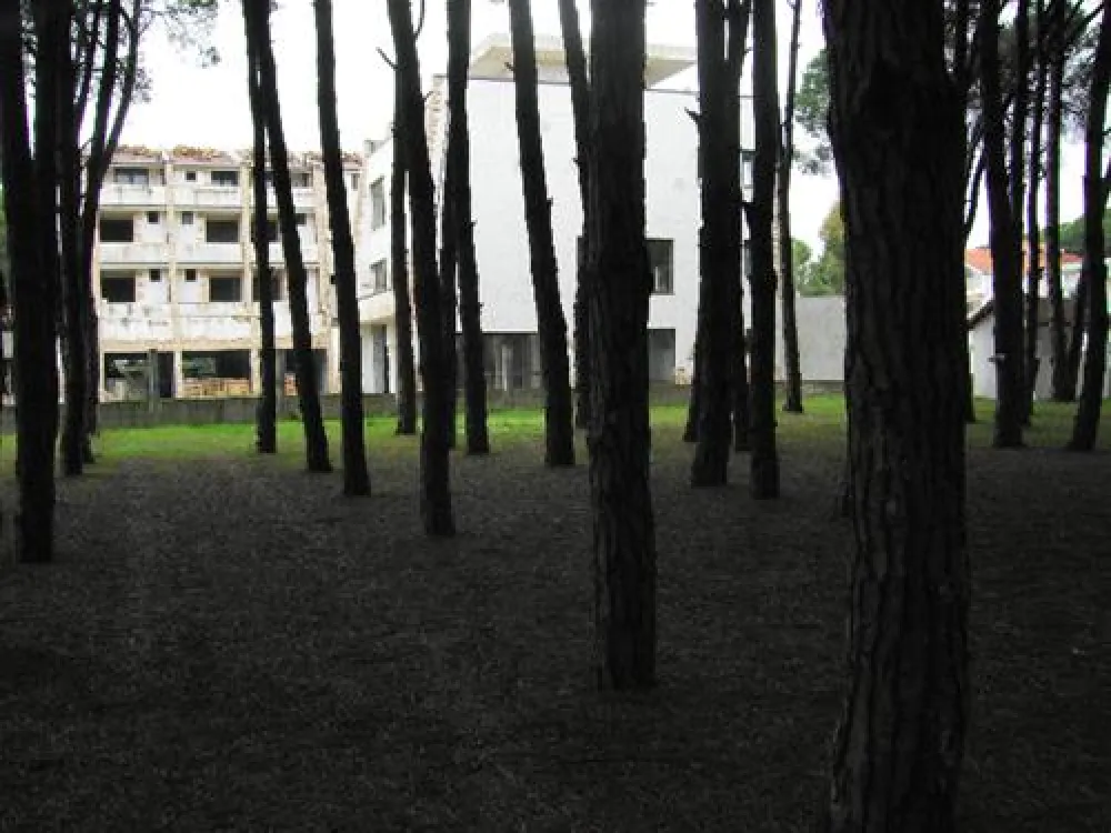 Camping Mali i Robit