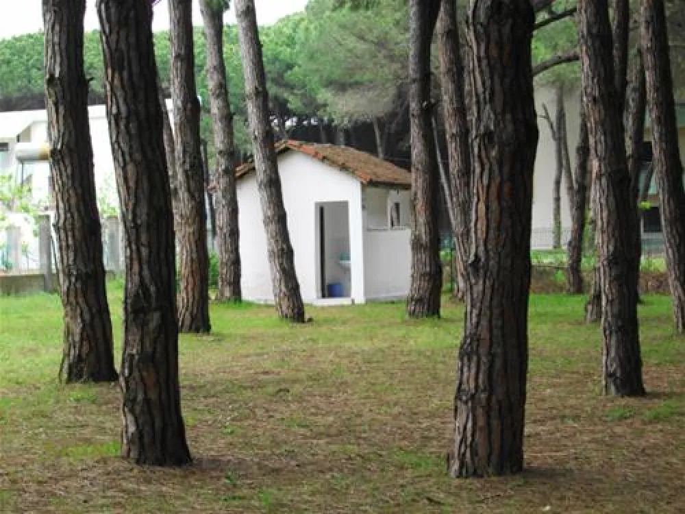 Camping Mali i Robit