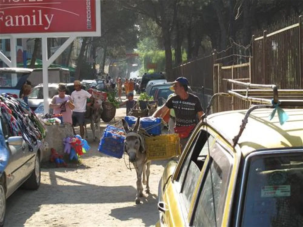 Camping Mali i Robit