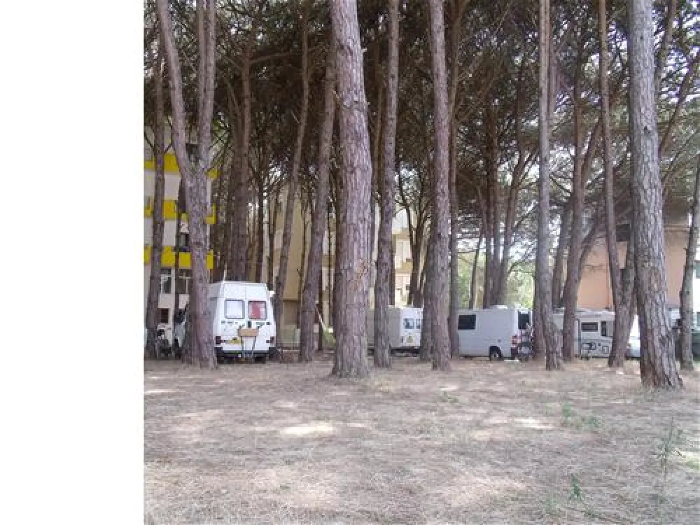 Camping Mali i Robit