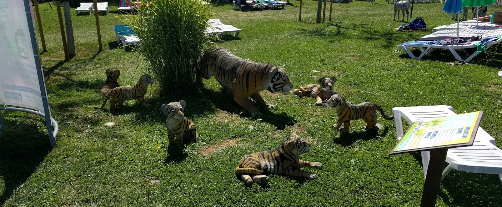 Camping Terme Olimia/Natura