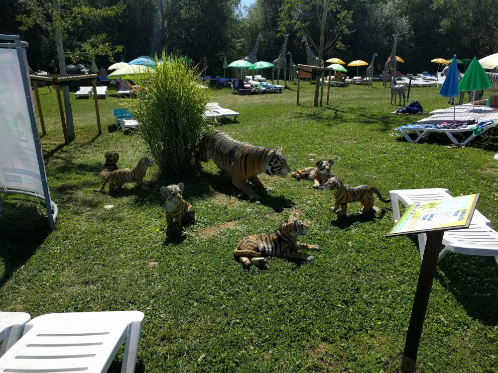 Camping Terme Olimia/Natura