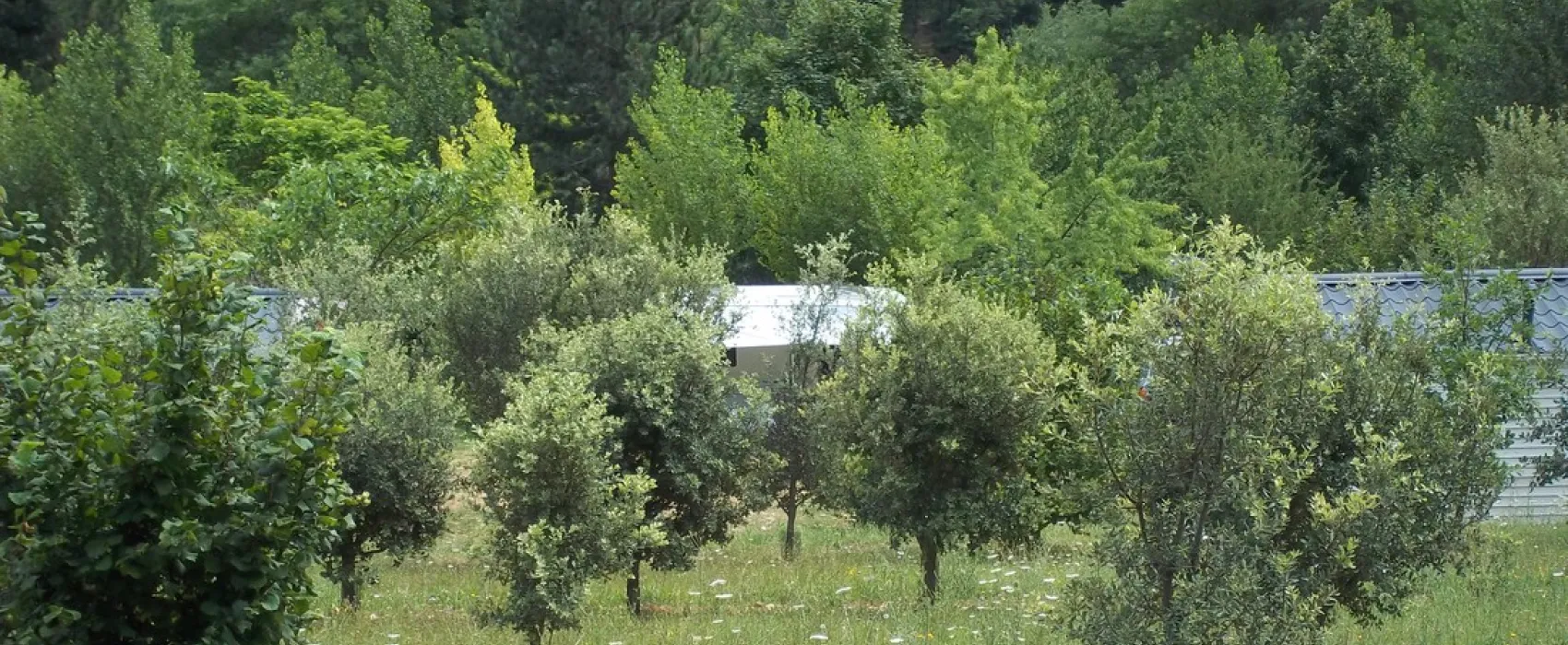 Camping Le Roc qui Parle  