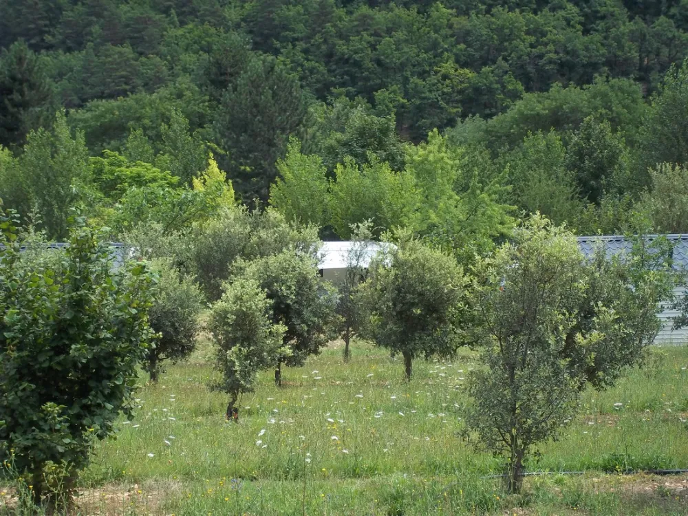 Camping Le Roc qui Parle  