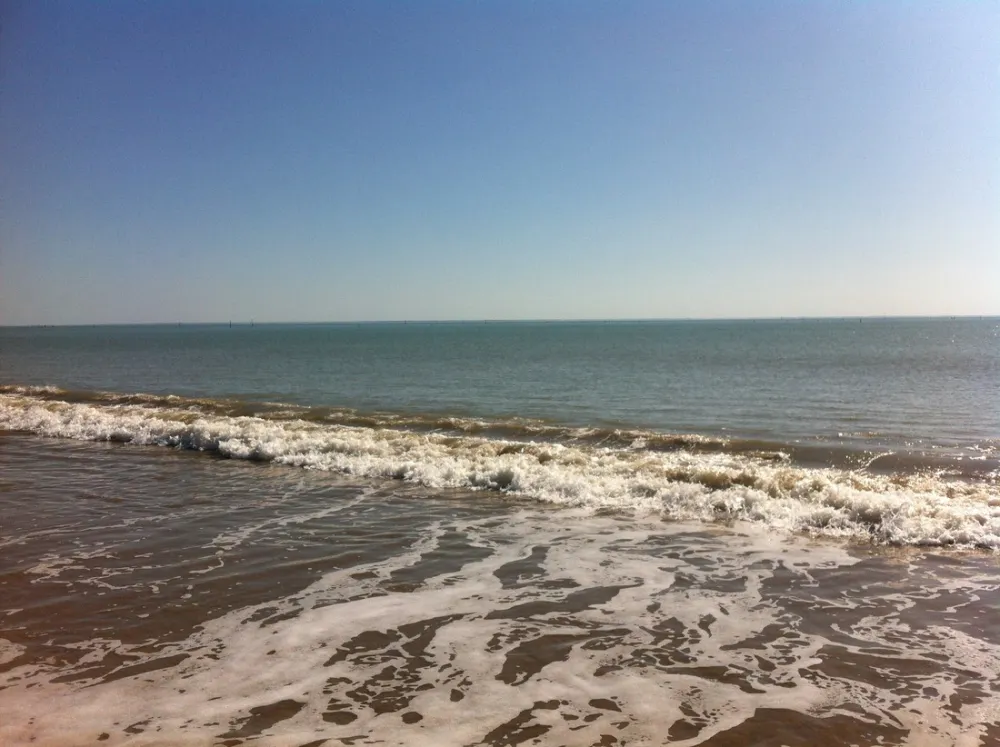 Flower camping - du Grand R