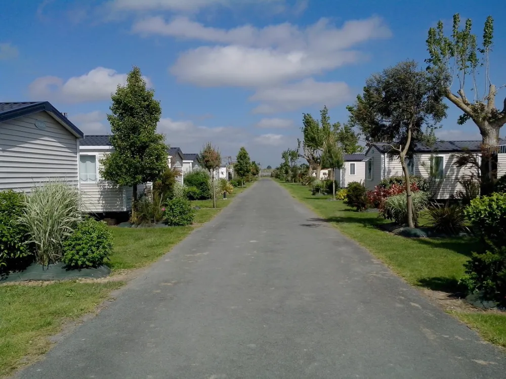 Flower camping - du Grand R