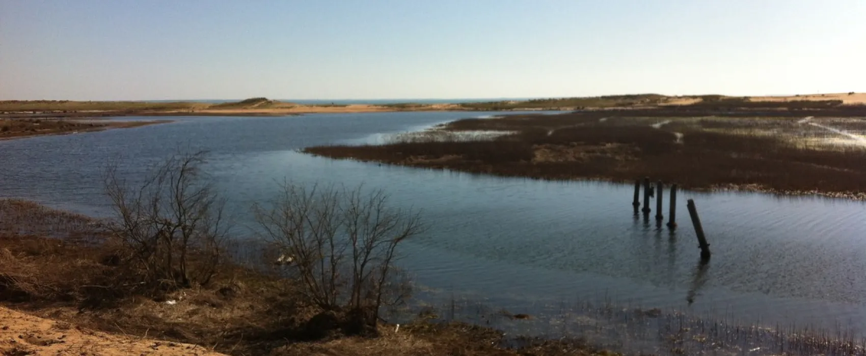 Flower camping - du Grand R