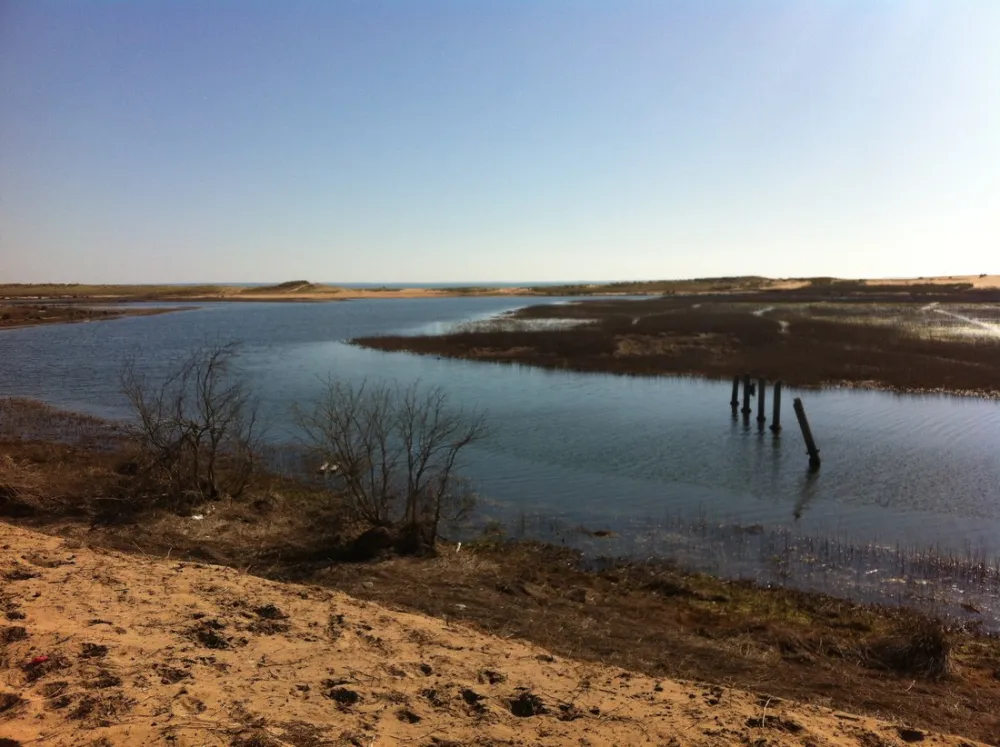 Flower camping - du Grand R