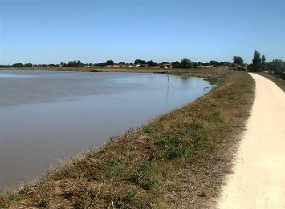 Flower camping - du Grand R