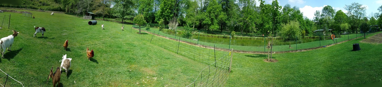 Camping Municipal photo 2