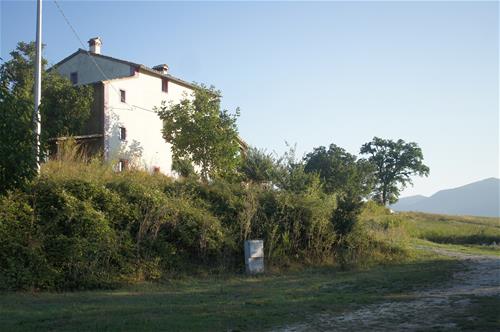 Michel Boes photo 5