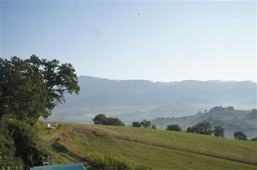 Michel Boes photo 3