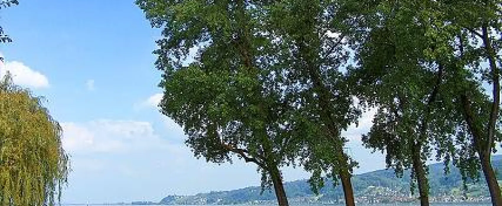 Campingplatz Horn Bodensee