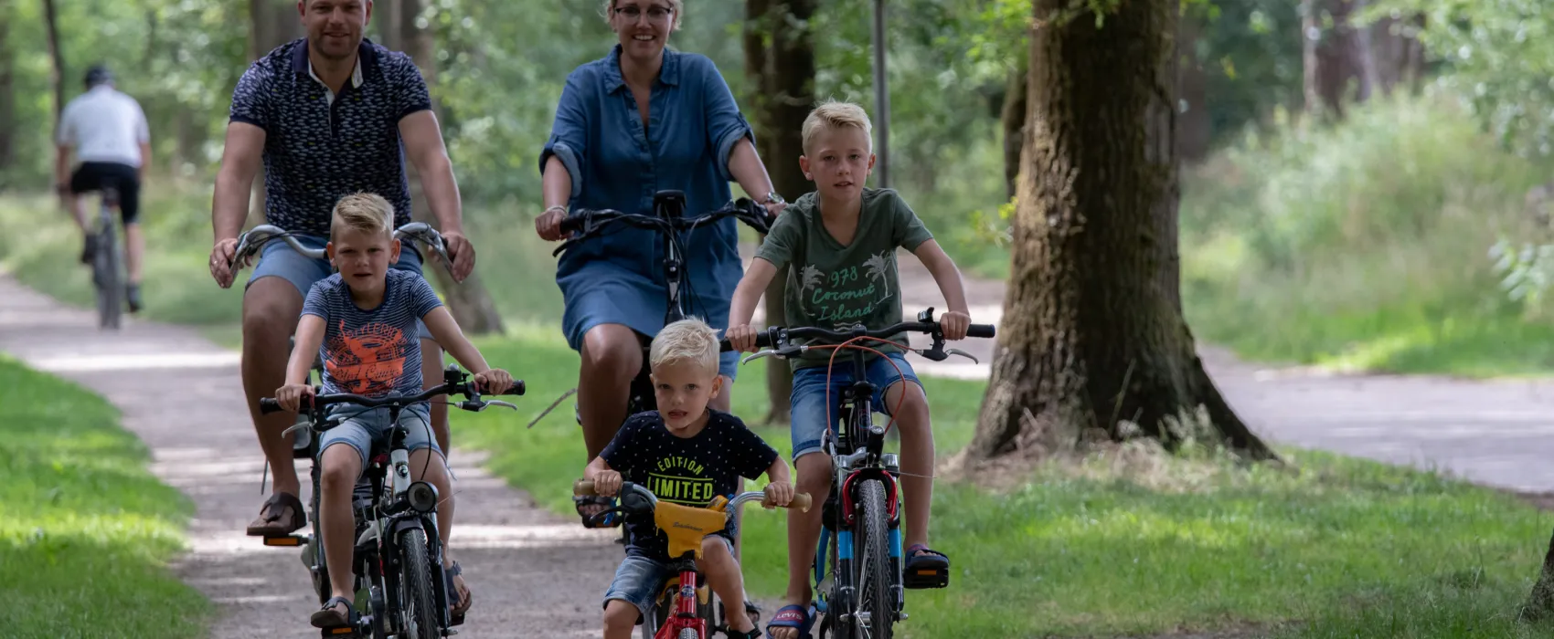 Camping De Noetselerberg